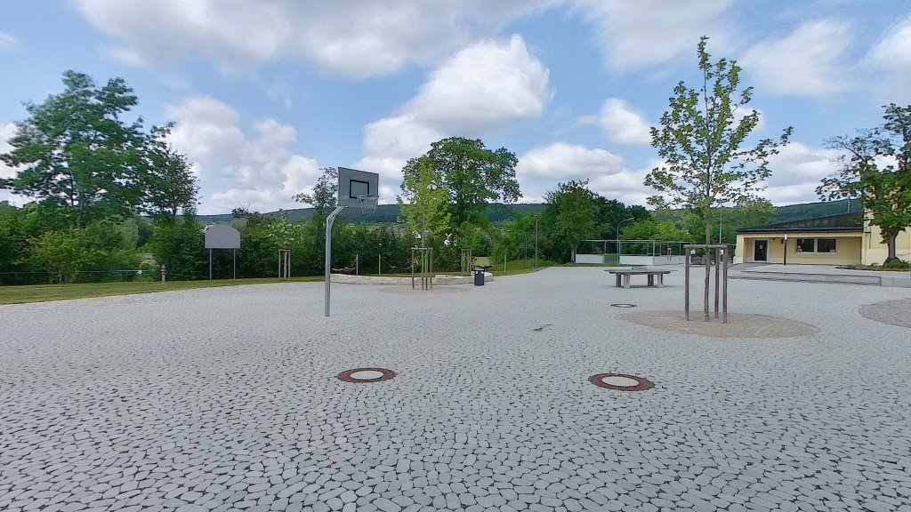 ARENA®, Nr. 10 Naturgrau / ARENA® BEL CANTE Pflasterplatten, Nr. 10 Naturgrau